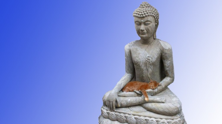 Zen Buddhism 101 - Awaken Your Natural Joy