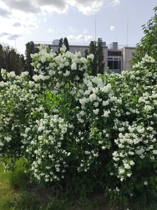 https://i.postimg.cc/TYSqPh7x/14-IMG-20250610-145420.jpg