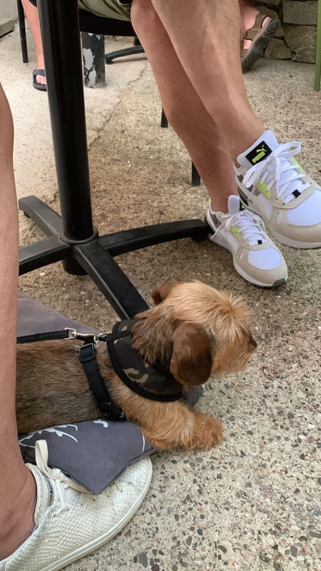 [Image: IMG-2505.jpg]