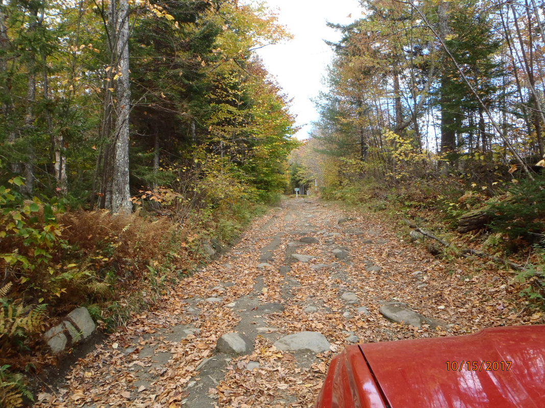 PA150126.jpg