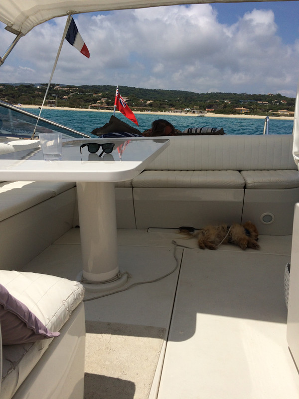 D70D0ED4-C275-4DD5-8894-BF8B108D65F0