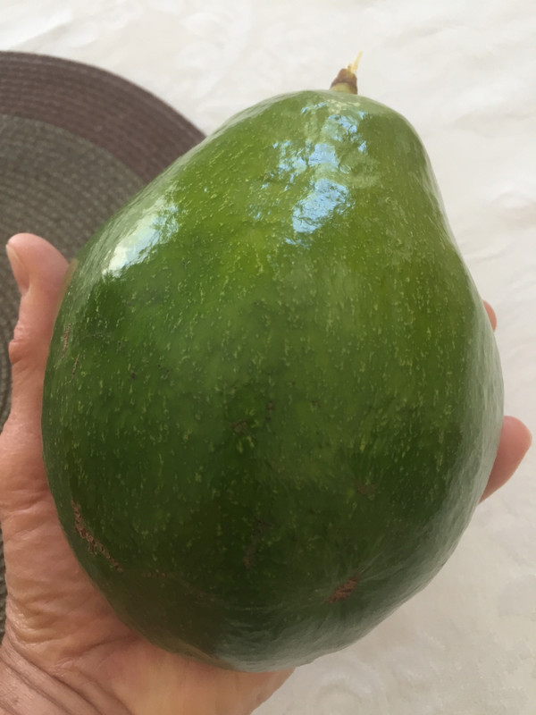 32631116-5B88-46A5-975F-AD9DB95953D0