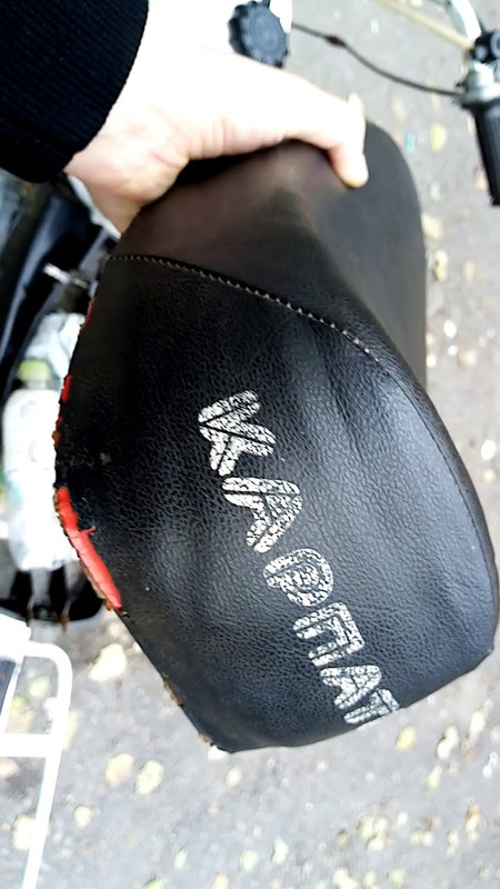 карпатыбелый