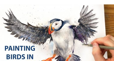 How to Draw & Paint Birds in Watercolor: Develop Basic Techniques & Improve Your Painting Skills