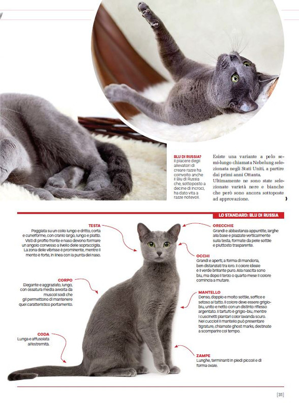 Ga Ma Ott-Nov 2023 (6)