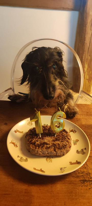 [Image: IMG-20250316-WA0014.jpg]