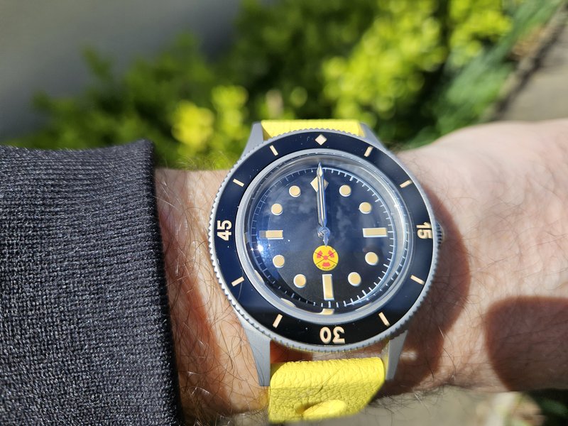  Le club des heureux propriétaires décomplexés de montres "hommage" - tome 10 - Page 5 20250420-120000