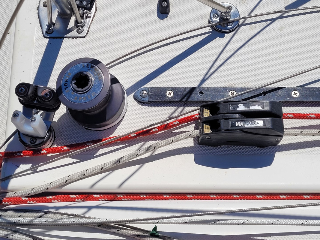 20231107_125207 (Large)