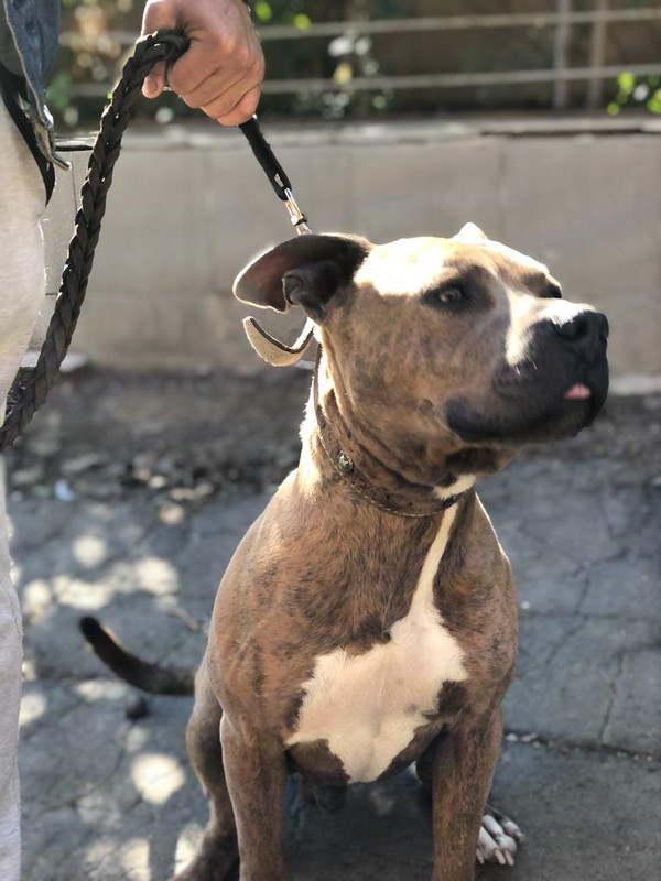 WhatsApp Image 2022-09-10 at 13.13.54 (2)