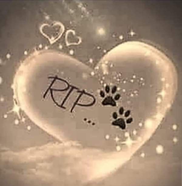 [Image: IMG-0619.jpg]