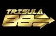 Link TRISULA88
