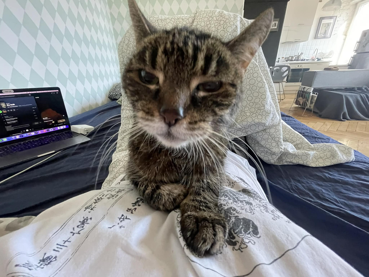 35f61106 42bc 4e21 be9f c005b1c6ed05