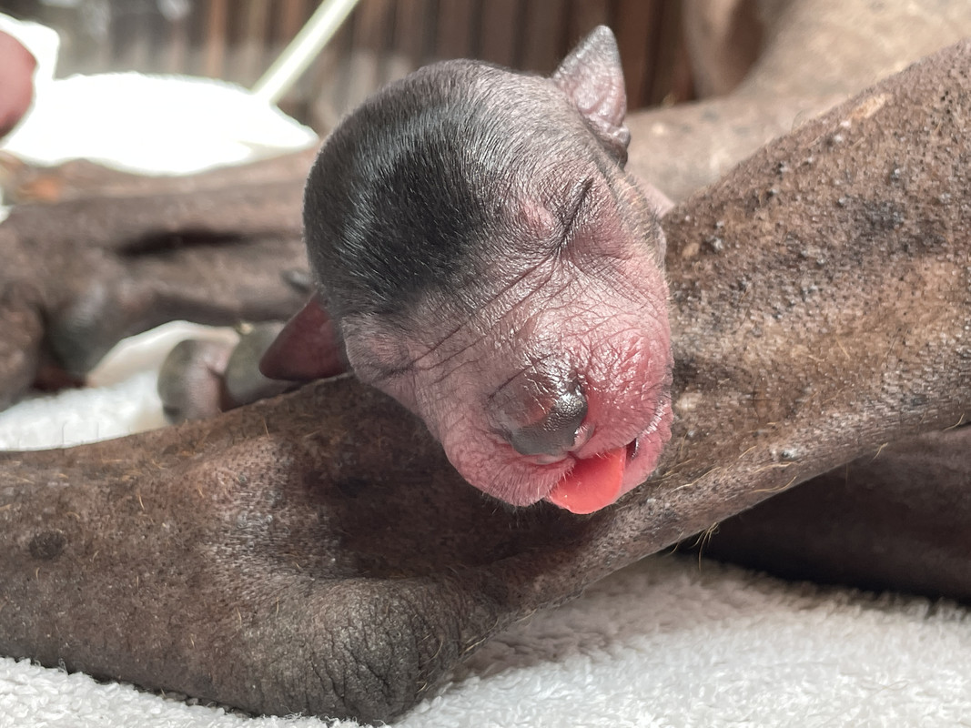 61A7BDC2-C386-4392-864A-ED53BA8A0AA9