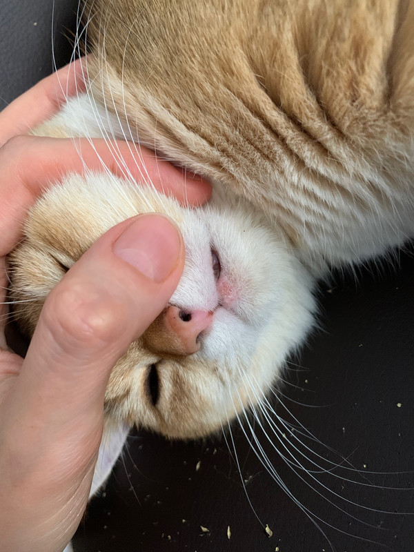 уколы 5 дней