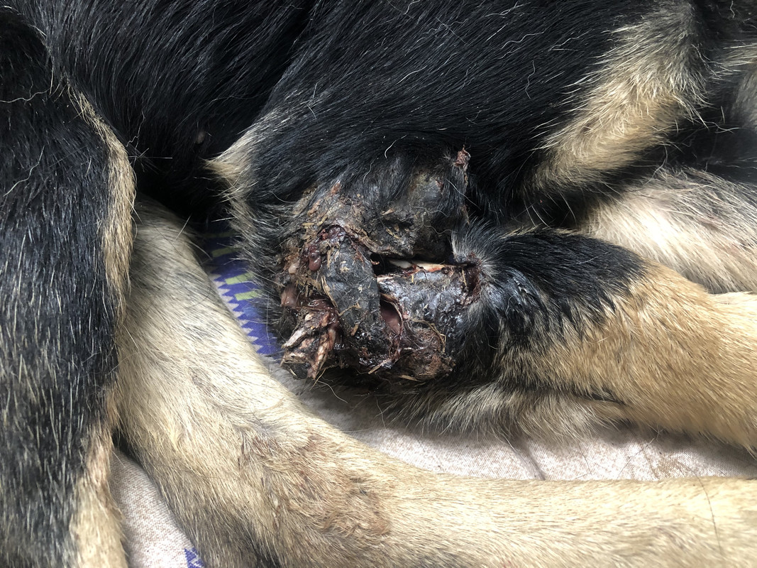 5266F8EB-23E2-4307-BD4F-3AD0996C25DB