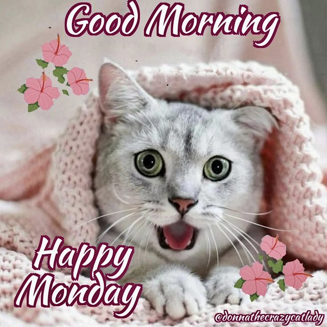 EAB150B1-0A5E-4104-A086-02C7C6959A1E