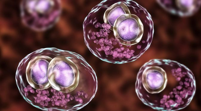 Penyakit Cytomegalovirus