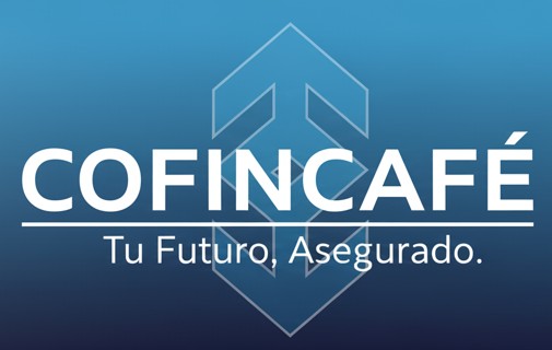Asesor Financiero