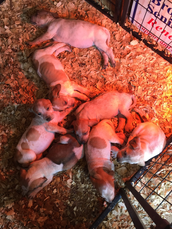 F9A4A0D0-8F23-4C42-AC1A-3FDA49BD4E89