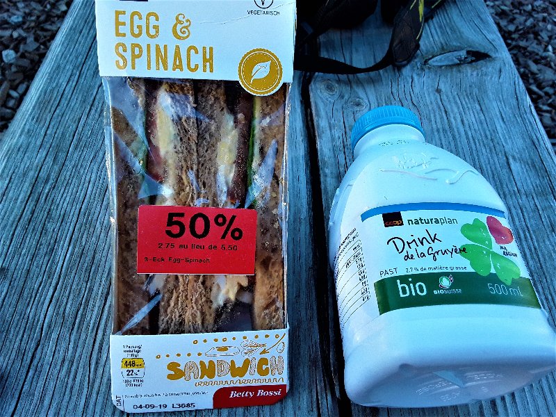 FRIBURGO-4-9-2019 - Suiza y sus pueblos-2019 (11)