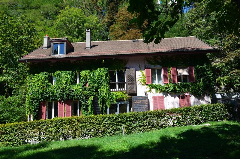 Suiza y sus pueblos-2019 - Blogs de Suiza - GINEBRA-3-9-2019 (152)
