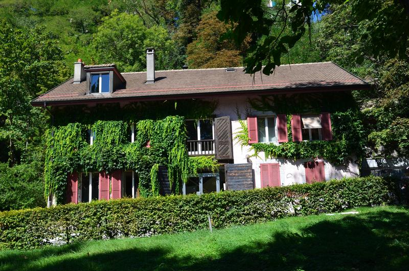 Suiza y sus pueblos-2019 - Blogs de Suiza - GINEBRA-3-9-2019 (152)