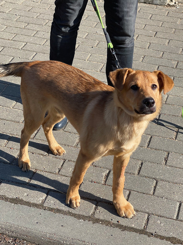 296EA958-EE3E-49B7-9D85-1463CD3C7F8C