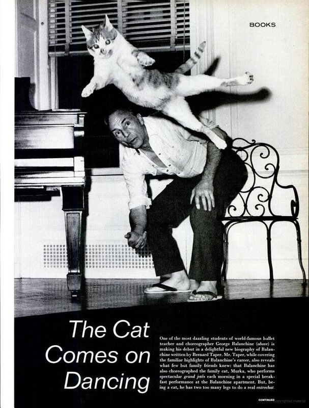 0c6f490e409045af38bd3370eda26c82