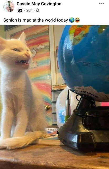 Catcassie-may-covington-20h-sonion-is-mad-at-world-today-matarctica.jpg