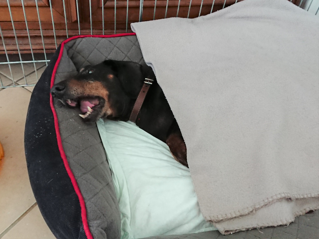 [Image: DSC-1466.jpg]