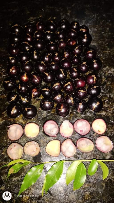 WhatsApp Image 2020-12-20 at 00.10.49 (49)