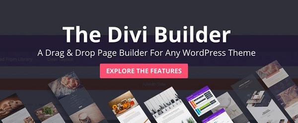 divi2.jpg?042148