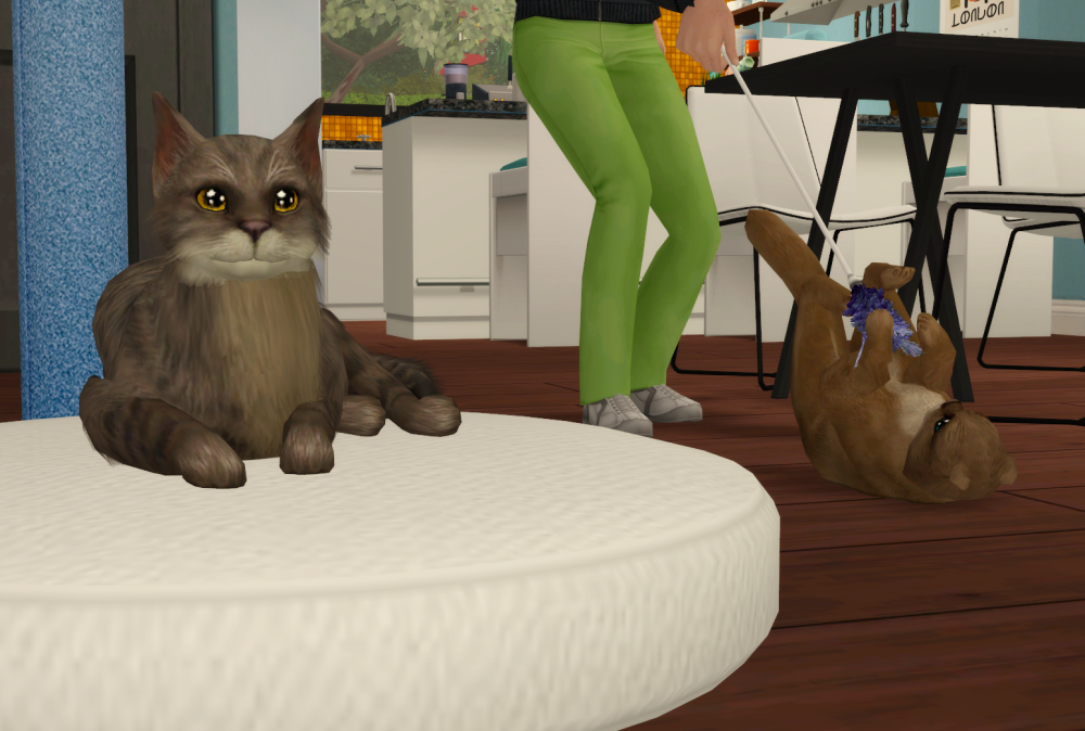 Sims2-EP9-RPC-2021-11-26-11-49-04-89