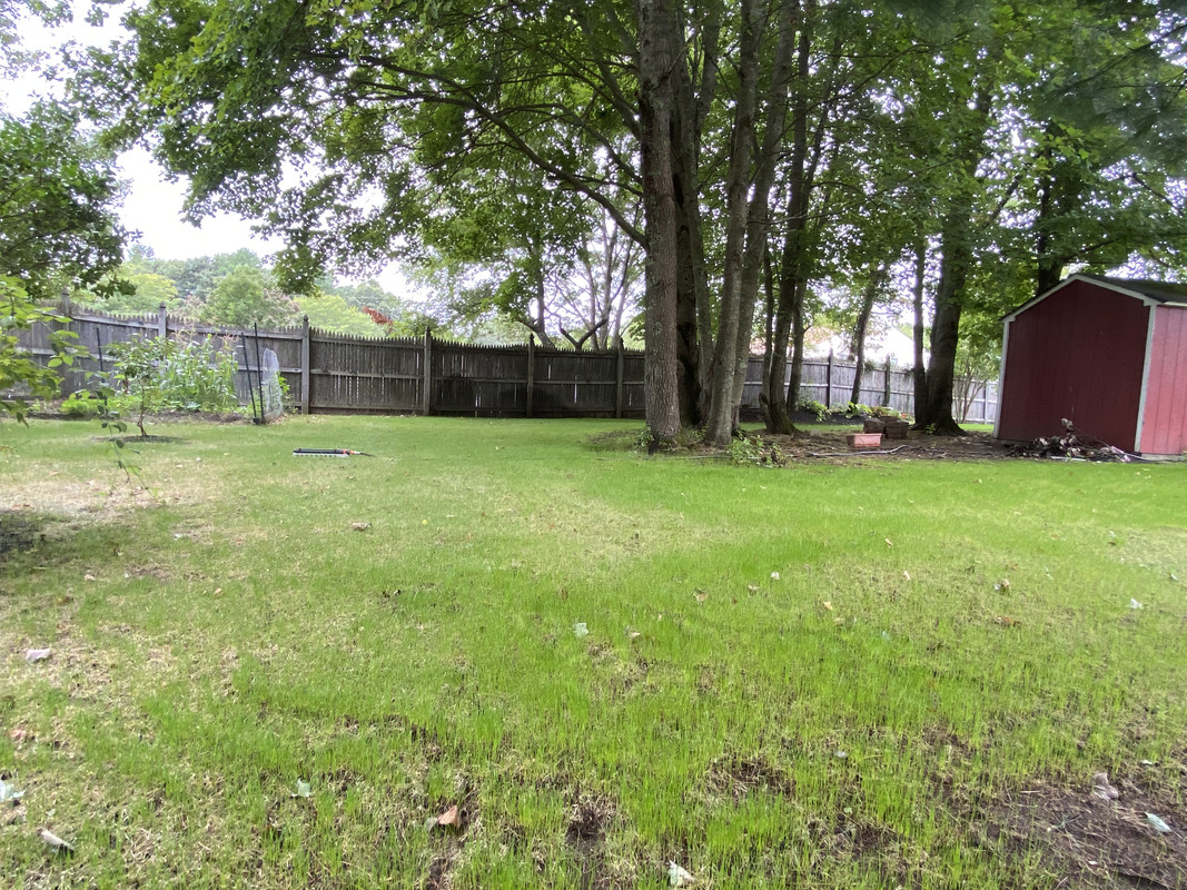 AF5BD8E2-8BBA-4CA1-BAD6-5F1FD707727D