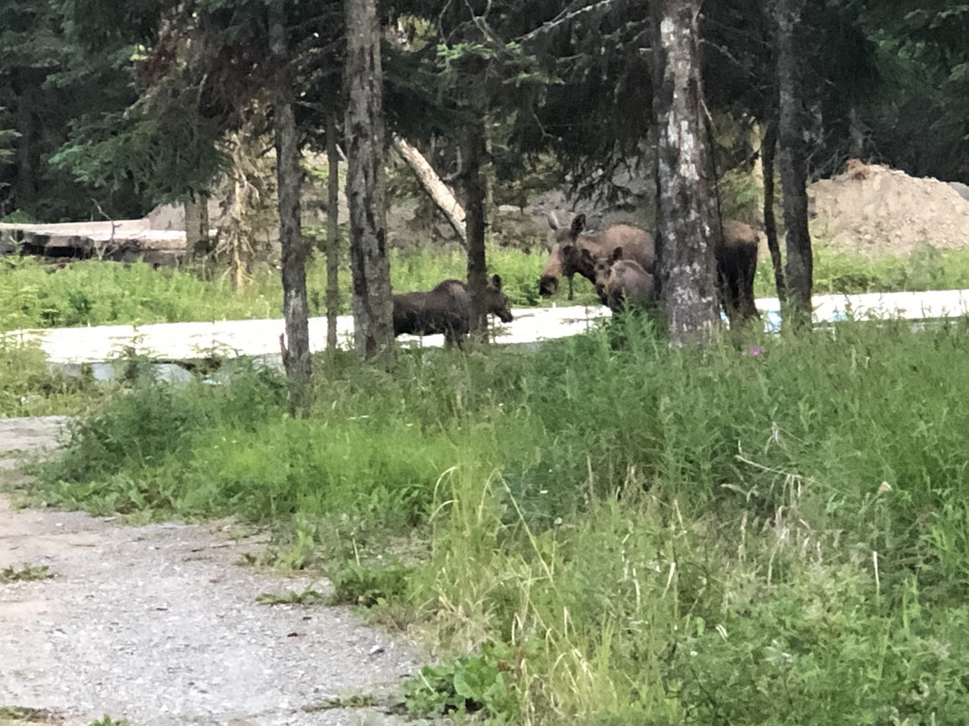 5A93713E-B254-4EC6-8474-C86D10FD4301