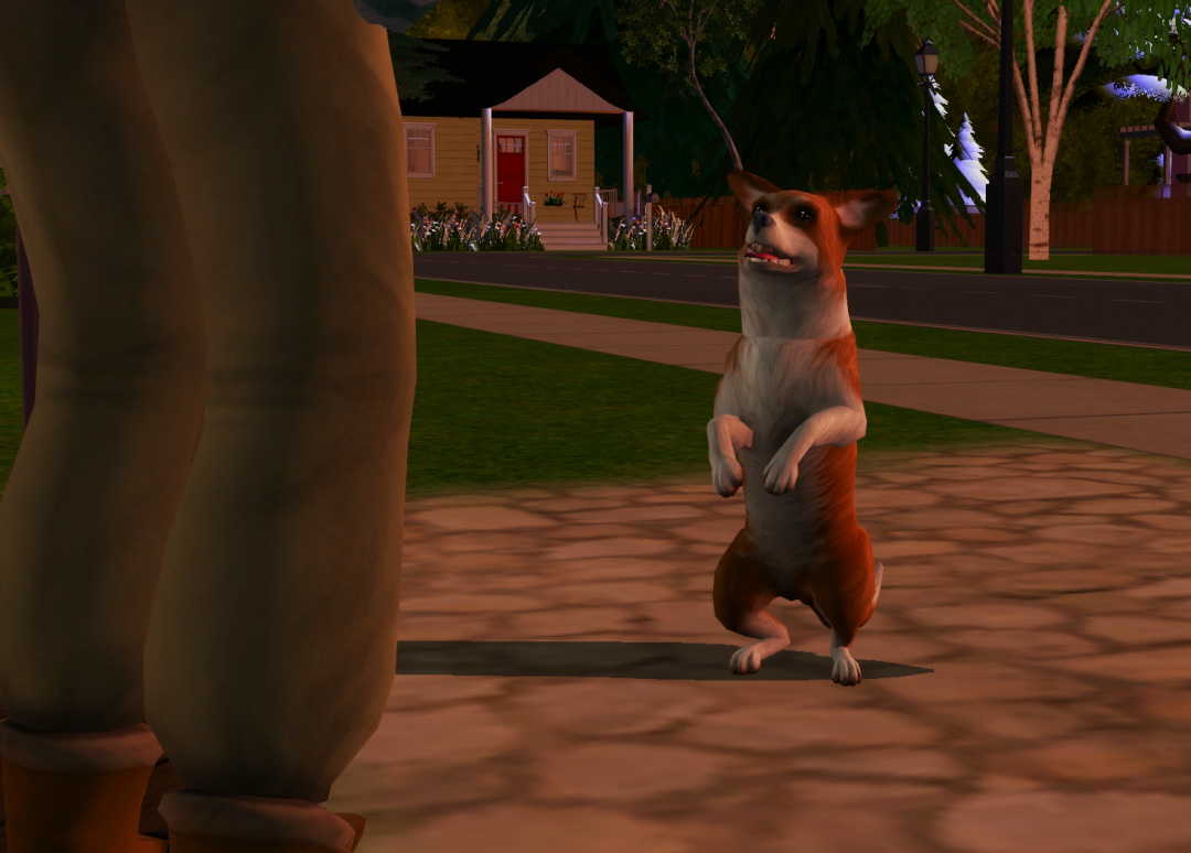 Sims2-EP9-RPC-2023-02-10-18-36-26-73