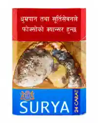 Surya Artic Sleek Bolt