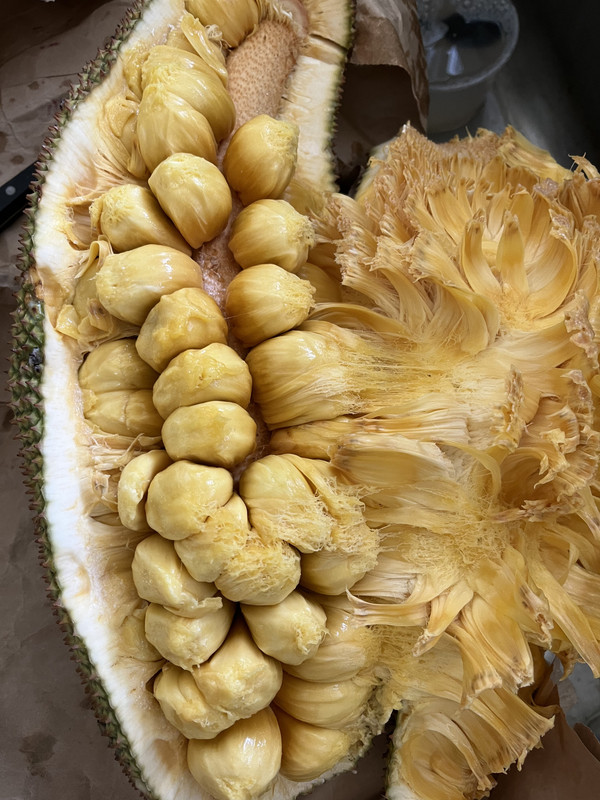 37C6AC95-F9A1-4AAA-AB0E-5078055ECAF0