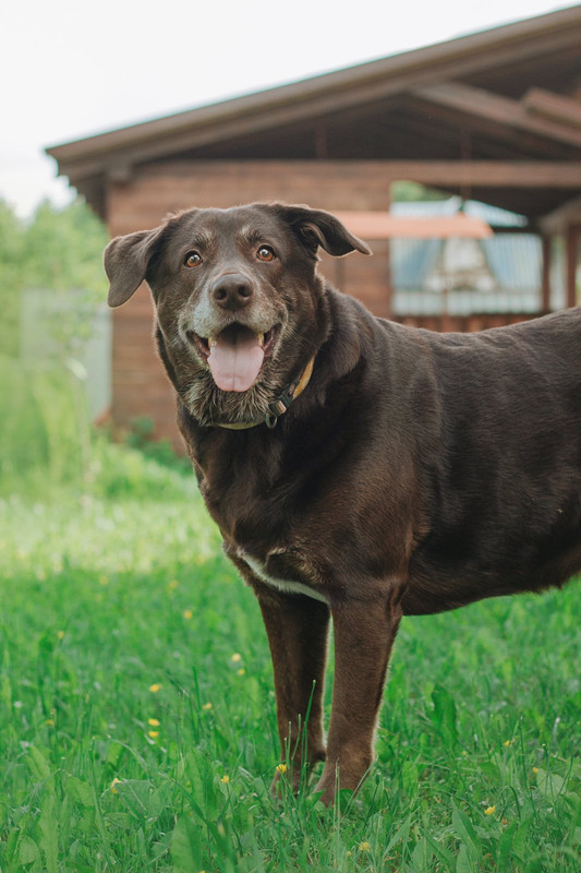 IMG-7f9e7ce783ac507445b957e4353524d1-V