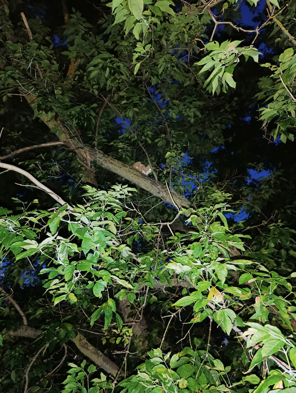 IMG 20260812 130823