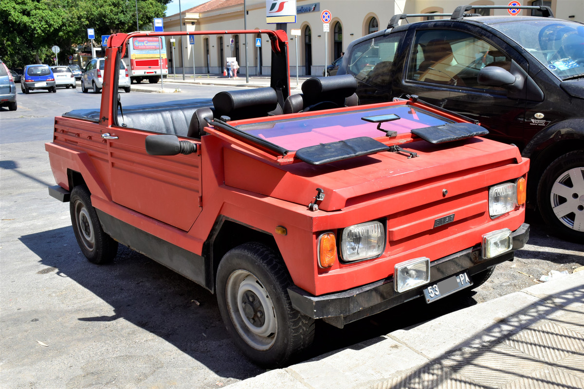 i.postimg.cc/TYYfqqQy/DSC0051.jpg