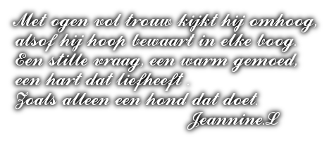 cooltext501011838860178