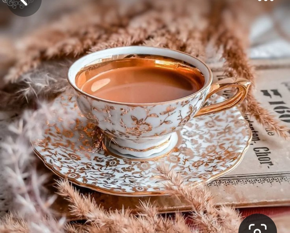 Screenshot_20240118_233823_Pinterest