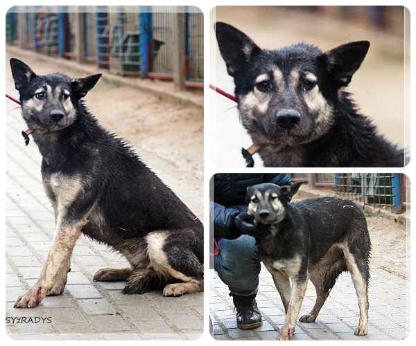 BeFunky-collage (19)