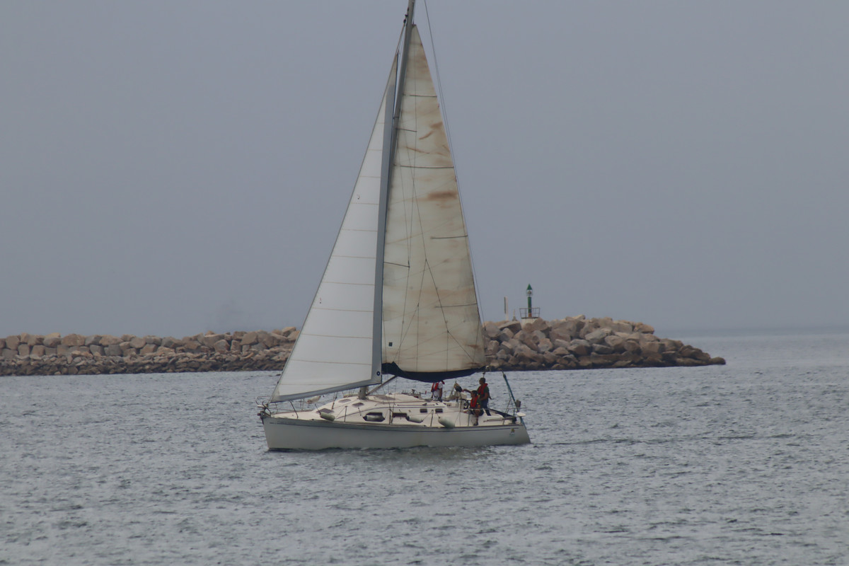IMG_4619