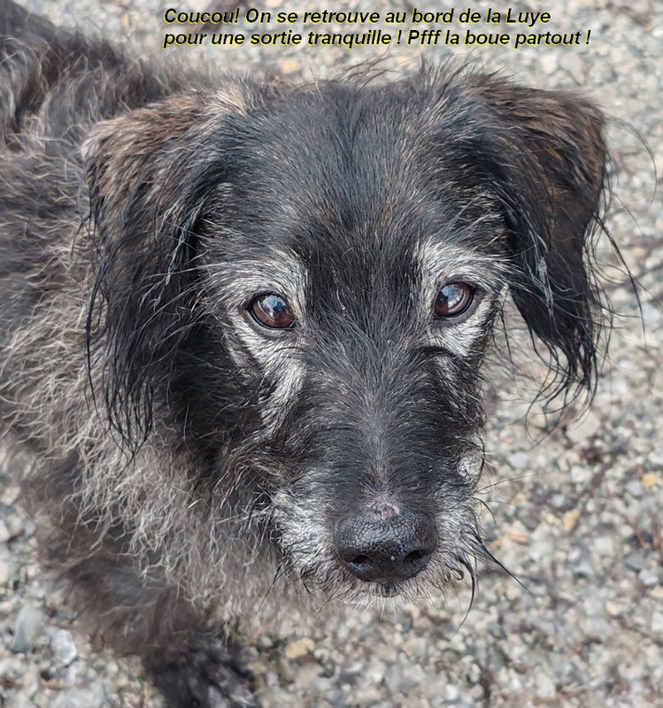 IMG-20260206-114526bb