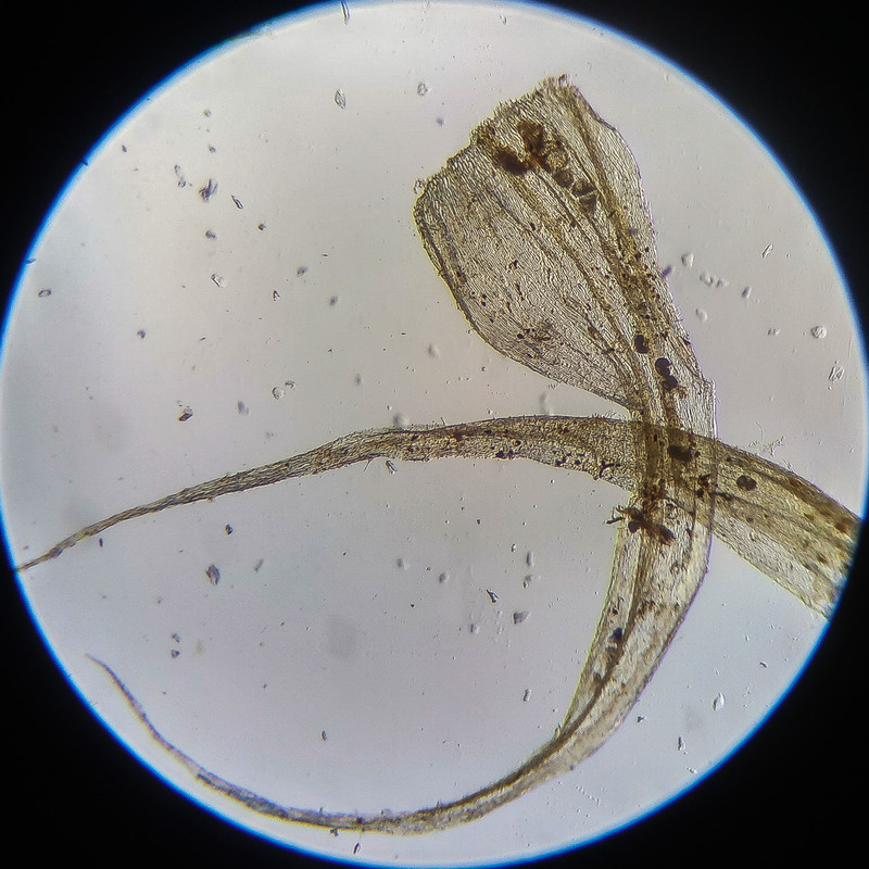 IMG 20250614 121956 HDR