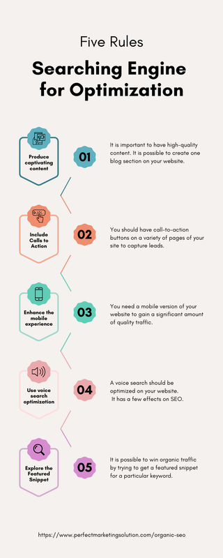 Organic SEO Service (2)