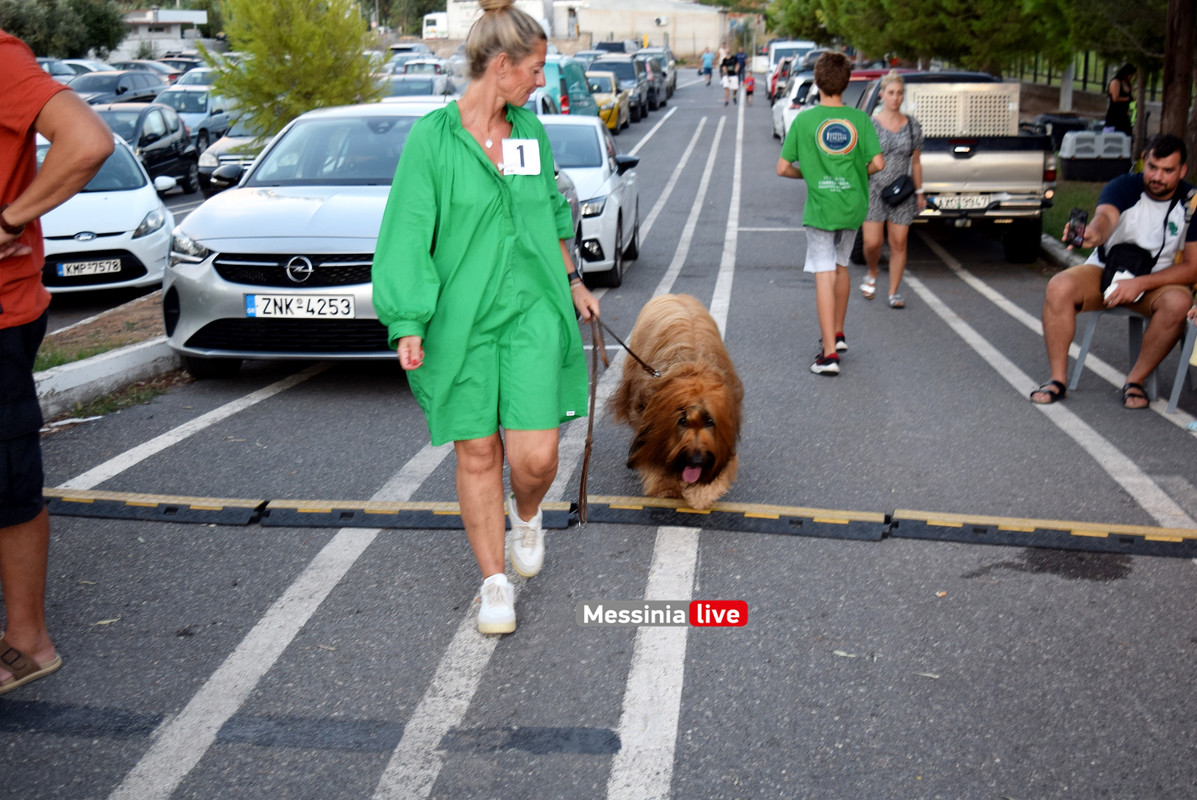 παρκο σκυλιαDSC_0996