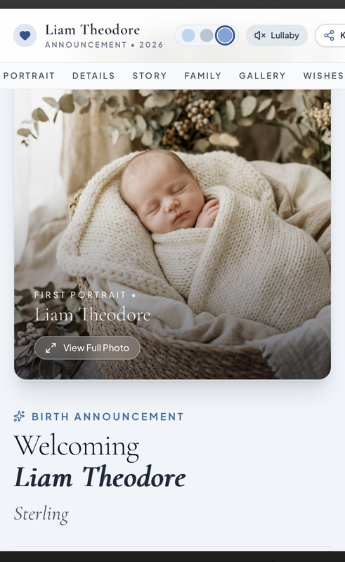 Baby Liam newborn birth announcement site with baby milestones and digital family guestbook